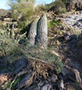 photo thumbnail #5