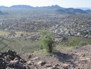 photo thumbnail #2