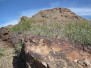 photo thumbnail #4