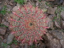 photo thumbnail #6