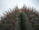 photo thumbnail #9