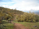photo thumbnail #10