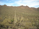 photo thumbnail #11