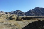 photo thumbnail #5