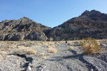 photo thumbnail #8