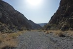 photo thumbnail #11