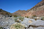 photo thumbnail #15