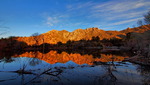 photo thumbnail #3