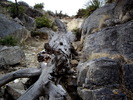 photo thumbnail #12