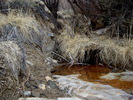 photo thumbnail #15