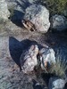 photo thumbnail #1