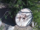 photo thumbnail #6