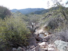 photo thumbnail #4
