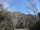 photo thumbnail #6