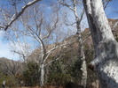 photo thumbnail #11