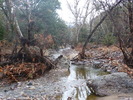 photo thumbnail #15