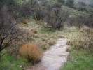 photo thumbnail #13