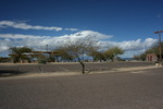 photo thumbnail #7
