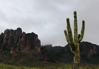 photo thumbnail #13