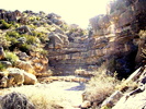 photo thumbnail #15