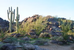 photo thumbnail #3