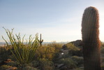 photo thumbnail #4