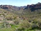 photo thumbnail #8