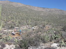 photo thumbnail #4
