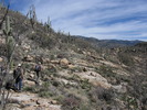 photo thumbnail #6