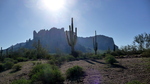 photo thumbnail #1