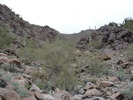 photo thumbnail #2