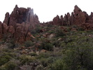 photo thumbnail #6