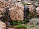 photo thumbnail #8