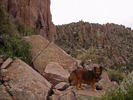 photo thumbnail #4