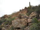 photo thumbnail #6