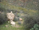 photo thumbnail #8