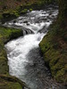 photo thumbnail #9