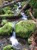 photo thumbnail #10