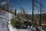 photo thumbnail #12