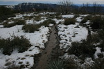 photo thumbnail #15