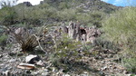 photo thumbnail #1