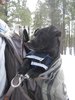 photo thumbnail #3