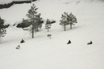 photo thumbnail #5