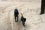 photo thumbnail #8