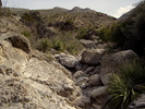 photo thumbnail #2