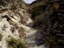 photo thumbnail #7