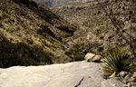 photo thumbnail #13