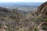 photo thumbnail #7