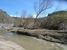 photo thumbnail #3