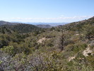 photo thumbnail #10